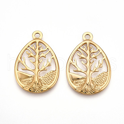304 Stainless Steel Pendants STAS-N109-82G-1