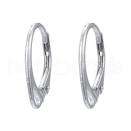 Anti-Tarnish Rhodium Plated 925 Sterling Silver Leverback Earrings STER-K168-022P-1