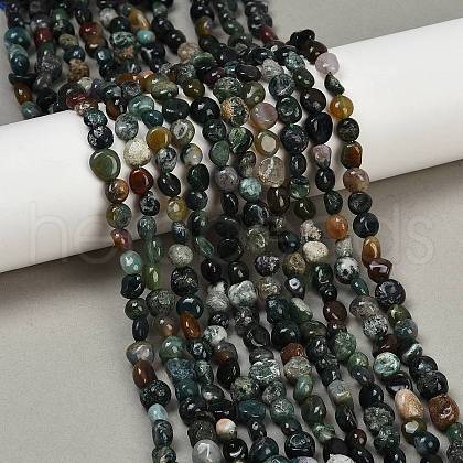 Natural Indian Agate Beads Strands G-Q060-D08-01-1