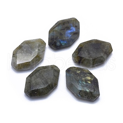 Natural Labradorite Cabochons G-L514-008-1