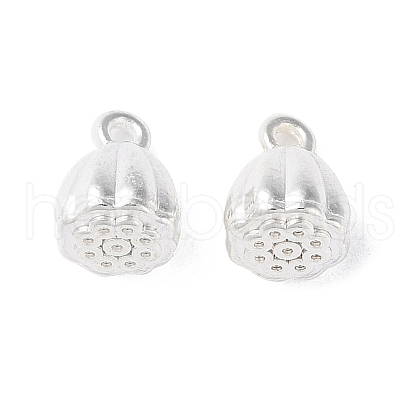 Alloy Charms FIND-E042-03S-1