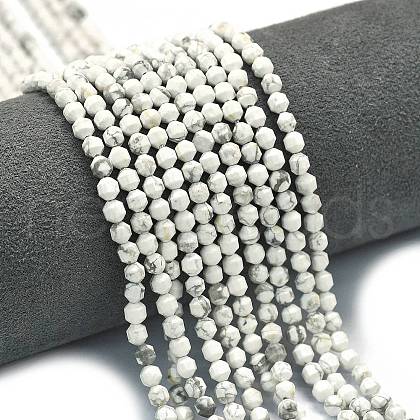 Natural Howlite Beads Strands G-A260-A25-01-1