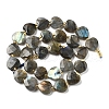 Natural Labradorite Beads Strands G-B044-B21-01-3