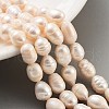 Natural Cultured Freshwater Pearl Beads Strands PEAR-P062-14A-1