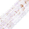 Natural Rutilated Quartz Beads Strands G-K245-A04-02-1