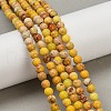 Dyed Natural Regalite/Imperial Jasper/Sea Sediment Jasper Beads Strands G-B124-C04-04-5