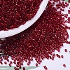 MIYUKI Delica Beads X-SEED-J020-DB0602-1