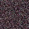MIYUKI Round Rocailles Beads SEED-X0054-RR4573-3