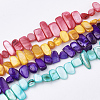 Freshwater Shell Beads Strands SHEL-S274-40-1