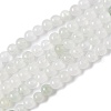 Natural Quartz Beads Strands G-B046-01E-1