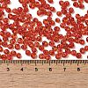 Transparent Colours Glass Seed Beads X1-SEED-P006-02A-06-4