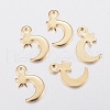 201 Stainless Steel Charms STAS-H436-48-1