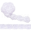 Polyester Lace Ribbons OCOR-WH0082-213A-1