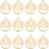 Unicraftale 12Pcs PVD Vacuum Plating 201 Stainless Steel Charms STAS-UN0029-32-1