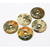 Donut/Pi Disc Natural Gemstone Pendants G-L234-30mm-06-1