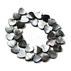 Natural Black Lip Shell Beads Strands BSHE-D300-06A-2