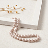 Shell Pearl Beads BSHE-TA0002-04B-8mm-5