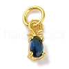 Rack Plating Brass Micro Pave Cubic Zirconia Charms KK-F881-03G-07-1