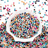 Baking Paint Glass Seed Beads SEED-N007-02F-2