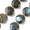 Natural Labradorite Beads Strands G-C116-A164-03-2