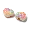Rainbow Color Opaque Resin Pendants X-RESI-F035-01-5