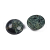 Natural Kambaba Jasper Cabochons G-T020-18mm-34-2