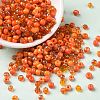 Opaque Colours Luster & Silver Lined & Transparent & Frosted Colours Glass Seed Beads SEED-A030-03C-1