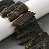 Natural Larvikite Beads Strands G-S386-D10-1