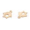 201 Stainless Steel Charms STAS-B001-48G-2