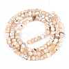 Natural Trochid Shell/Trochus Shell Beads Strands SSHEL-N040-10-2