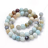 Natural Flower Amazonite Beads Strands X-G-S259-13-10mm-2