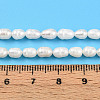Natural Cultured Freshwater Pearl Beads Strands PEAR-N012-03R-6