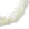 Natural Trochus Shell Chip Beaded Stretch Bracelets for Women Men BJEW-JB10549-4