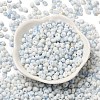Baking Paint Glass Seed Beads X1-SEED-F006-01A-02-2