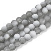 Frosted Crackle Glass Beads Strands X1-GLAA-U001-8mm-M06-1