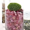 Dyed & Heated Natural Agate Beads X1-G-J402-04D-05-3