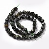 Natural Kambaba Jasper Beads Strands G-G990-B01-3