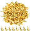 Iron Bead Tips IFIN-YW0001-50G-1