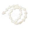 Natural Trochid Shell/Trochus Shell Beads Strands SSHEL-R145-05-3