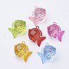 Transparent Acrylic Pendants TACR-T002-13-1