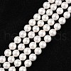 Shell Bead Strands X-BSHE-R146-6mm-02-1