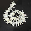 Natural Electroplated Quartz Crystal Beads Strands G-F212-01-2