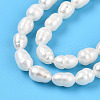 Natural Cultured Freshwater Pearl Beads Strands PEAR-N012-03R-4