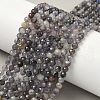 Natural Iolite Beads Strands G-G188-B04-06A-5