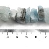 Raw Rough Natural Aquamarine Beads Strands G-P528-A04-01-4