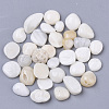 Sea Shell Beads SSHEL-S258-71-2