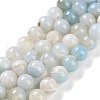 Natural Striped Agate/Banded Agate Beads Strands G-Z060-A01-C23-1
