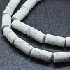 Natural Howlite Beads Strands G-F631-F03-3