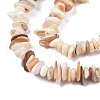 Natural Freshwater Shell Beads Strands SHEL-S278-071D-3