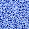 11/0 Grade A Baking Paint Glass Seed Beads X-SEED-N001-A-1022-2
